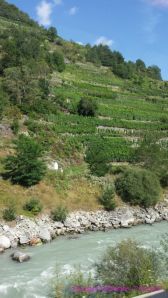 Vineyards glacial river view from train to Zermatt Switzerland